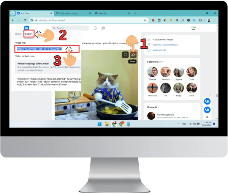1 Copy the VK Video URL - VK Video Downloader